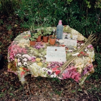 Table Surlingham 2013