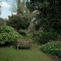Garden Seat Wild Daffodils Wormingford 2017