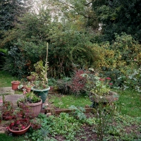 Garden With Pots Wormingford 2015
