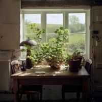 Still Life Wormingford 2017