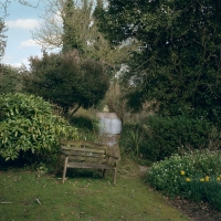 right panel Garden Seat Wild Daffodils Wormingford 2016